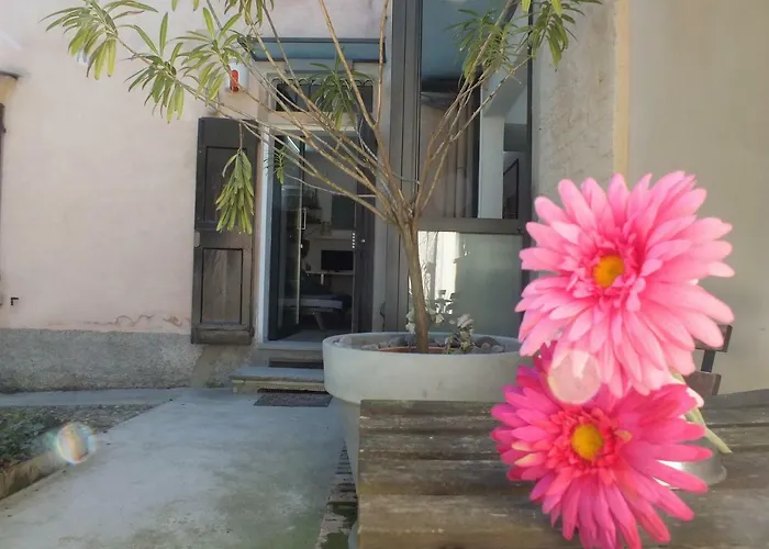 Loft Garden In Bologna's Heart Ospedale Rizzoli *